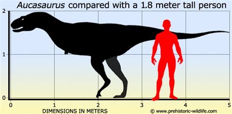 Aucasaurus Pictures & Facts - The Dinosaur Database