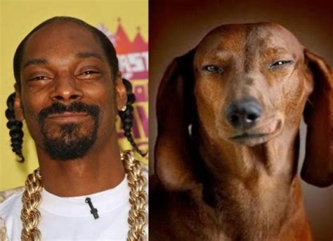 Hilarious Snoop Dogg Look Alike - Jokes Etc - Nigeria