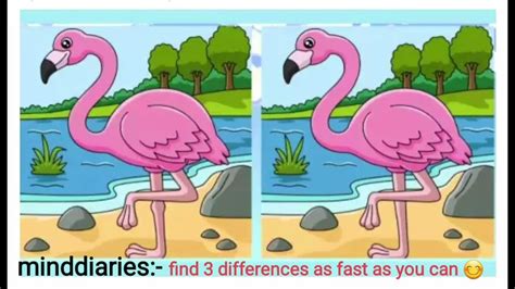 find the differences I Puzzle Game #3 I minddiaries I Genius test I ...