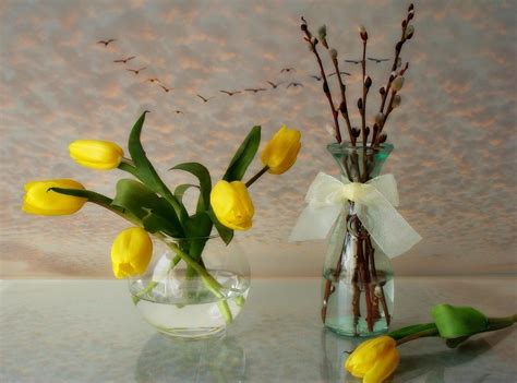 Clear glass vase with yellow tulips HD wallpaper | Wallpaper Flare