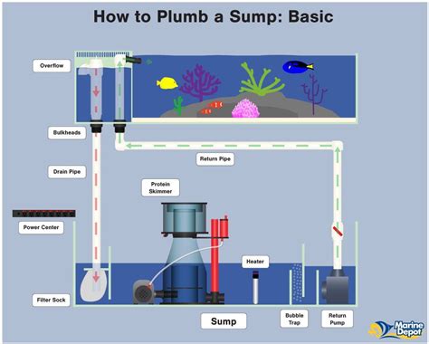 How to Plumb a Sump - Plumbing Diagrams For Your Aquarium Sump | Aquarium sump, Saltwater ...