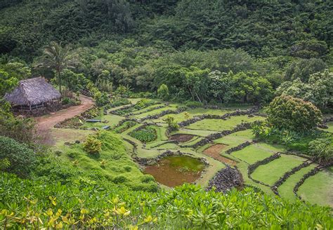 Limahuli Garden Kauai Photograph by Roger Mullenhour