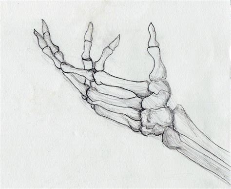 Skeleton Hand Drawing Holding