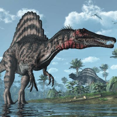 19 Spinosaurus Facts for Kids and Dinosaur Enthusiasts