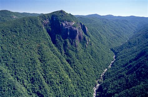 About | Barron Gorge National Park | Parks and forests | Department of Environment, Science and ...