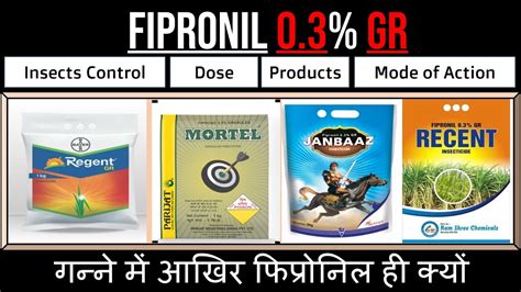 Fipronil 0.3% GR | fipronil Insecticide | Uses | Dose | Application ...