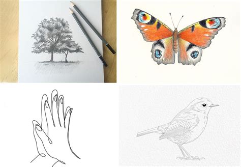 25 easy drawings for when you’re feeling uninspired - Gathered