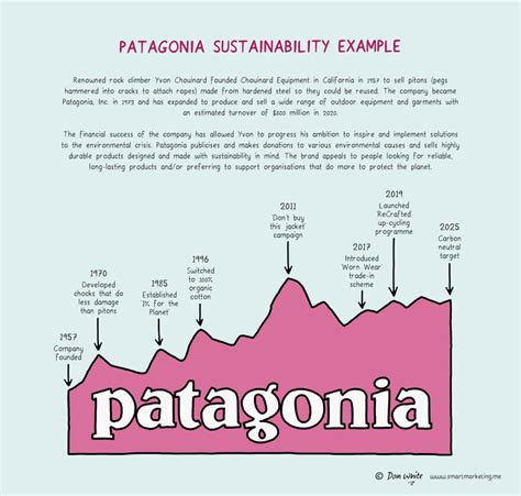 Patagonia Sustainability Example - SMART MARKETING