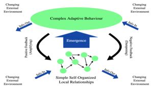 Complex Adaptive Systems | NSI