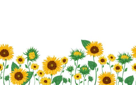 1,843 BEST Sunflower Watercolor IMAGES, STOCK PHOTOS & VECTORS | Adobe ...