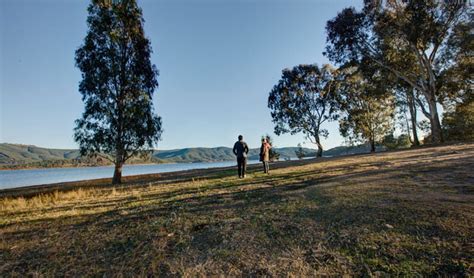 The Pines campground | NSW National Parks