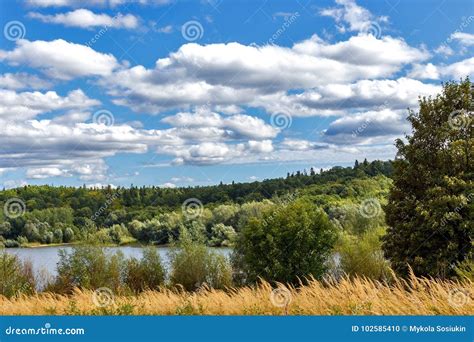 Lake in the Forest Blue Sky Background, Trees and Sky Reflected Stock Photo - Image of scenery ...