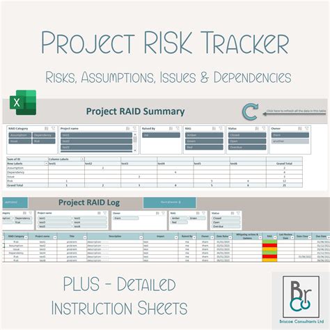 Project Management RAID Log