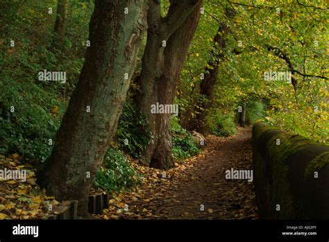 Water of Leith walkway in autumn Stock Photo - Alamy