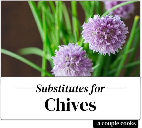 Best Substitute for Chives | Couple cooking, Chives, Cooking substitutions