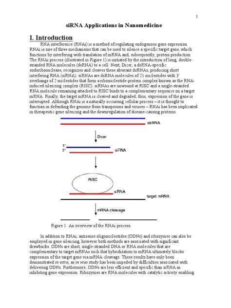 siRNA Applications in Nanomedicine | PDF | Small Interfering Rna | Rna Interference