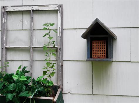 Mason Bee House Habitat Cedar Habitat Restoration organic