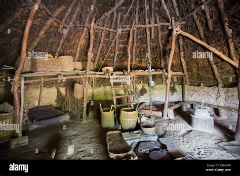 Interior of Roundhouse at Castell Henllys Iron Age hillfort , Pembrokeshire Wales UK 120099 ...