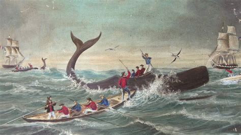 Plundering and Poaching: Tasmania's Whaling History - YouTube