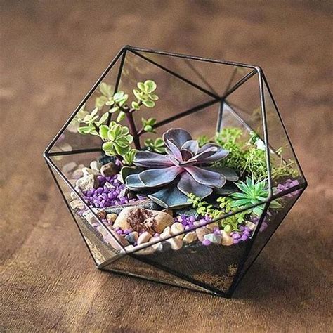 34 Inspiring Indoor Garden Succulent Ideas - MAGZHOUSE