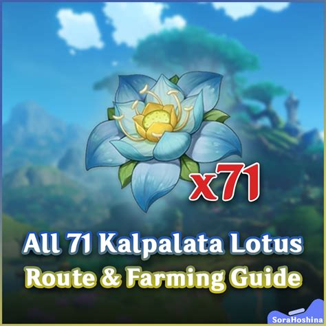 All 71 Kalpalata Lotus Route & Farming Guide | Genshin Impact