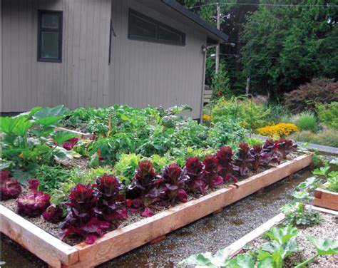 Grow up! Build an Edible Rooftop Garden - Garden Therapy