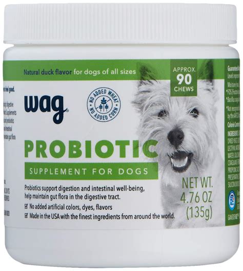 Best Probiotics for Dogs: Keep Your Canine Companion Healthy