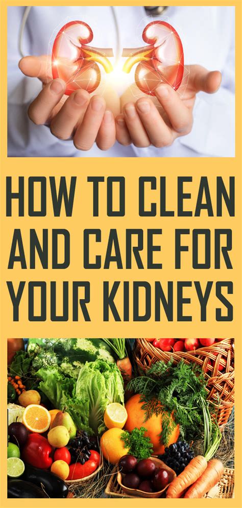 HOW TO CLEAN AND CARE FOR YOUR KIDNEYS - exstremboard