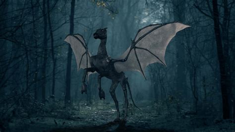 Download Enigmatic Thestral in the Night Sky Wallpaper | Wallpapers.com