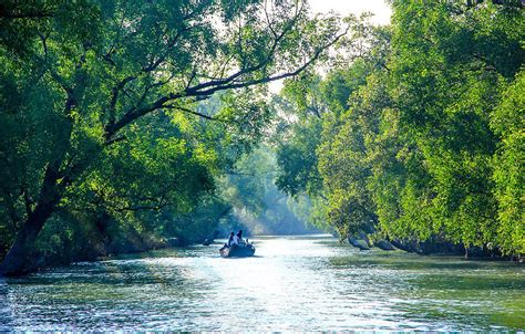 Is the Sundarbans in a threat for transboundary pollution? | BD TIMES NEWS