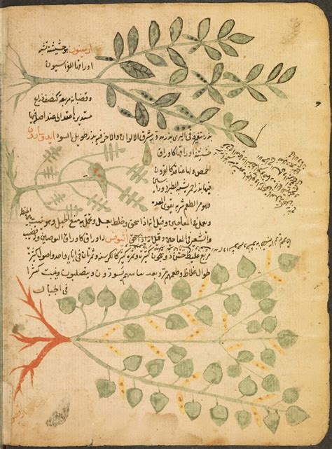 Online Cataloging and Digitization for Islamic Manuscripts | PUL ...