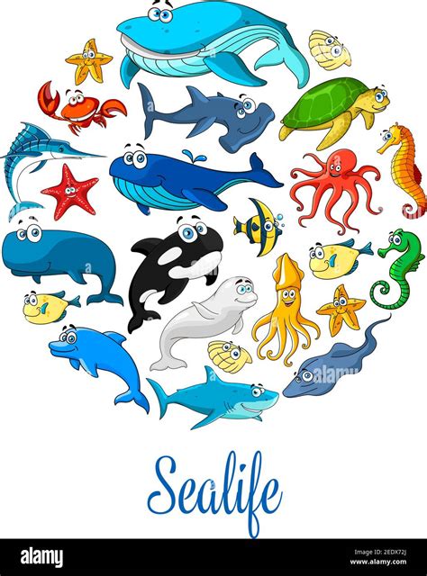 Sealife poster of sea dolphin, whale and shark, seal, starfish and seahorse, stingray and turtle ...