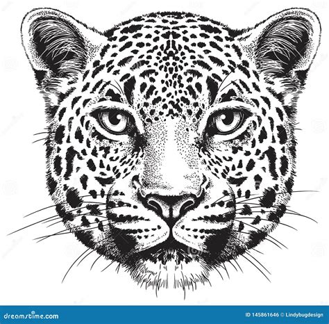 20+ leopard drawing easy - HannesKruze