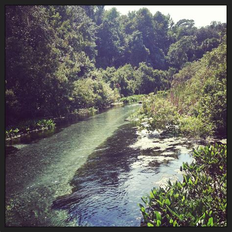 Rock Springs ~ A Jungle Adventure & South of France Picnic | Orlando ...