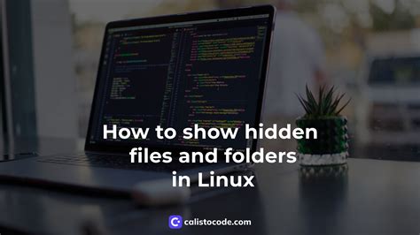 How to show hidden files and folders in Linux - Calisto Code