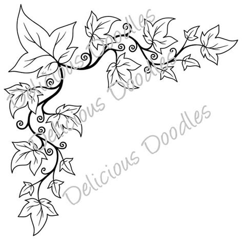 Ivy Vine Drawing at GetDrawings | Free download