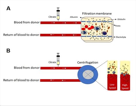 Presentation of Neutralizing Antibodies in Single- or Pooled-Convalescent Immune Plasma from ...