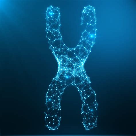 10+ Xchromosome Stock Photos, Pictures & Royalty-Free Images - iStock