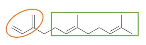 Performance Elastomers from Renewable Resources | Adhesives & Sealants ...