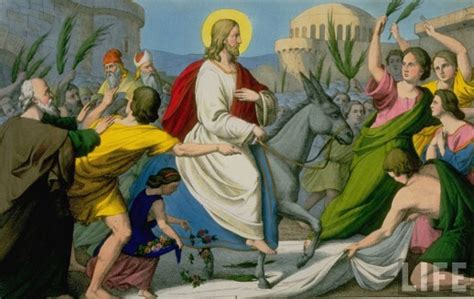 Did Christ Ride 2 Donkeys or 1 Donkey on Palm Sunday (You may be ...