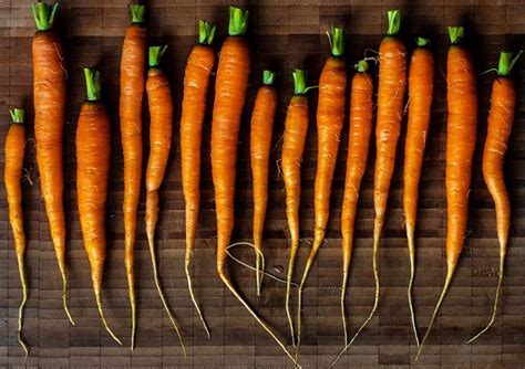 Rabbits Eating Carrots - The Complete Guide.