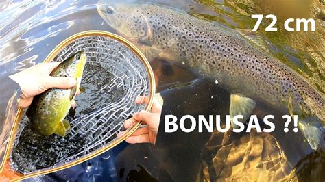 Upėtakių žvejyba 2023 balandis / Trout fishing in Lithuania - YouTube