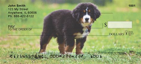 animated bernese mountain dogs | Bernese mountain dog, Dogs, Mountain dogs