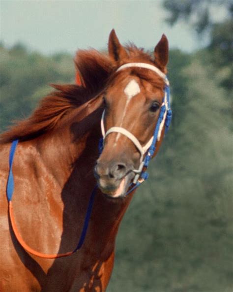 Secretariat - 1973 Triple Crown Winner