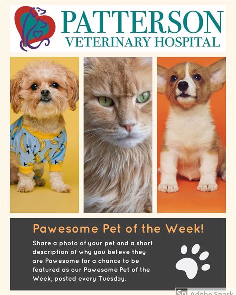 Patterson Veterinary Hospital