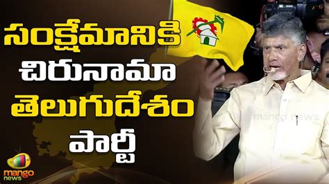 Chandrababu Naidu Solid Comments On YS Jagan | TDP vs YSRCP | AP Politics | Mango News - YouTube