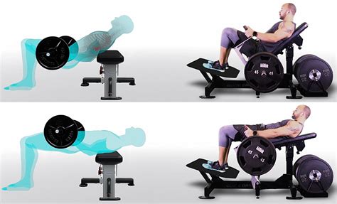 Glute Drive Plate Loaded Hip Thrust Machine – Nautilus – Machine at home