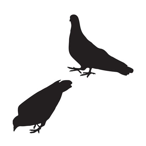 Pigeon Art Silhouette 7170243 Vector Art at Vecteezy