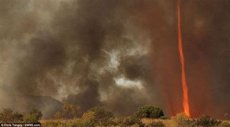 Terrifying Yet Beautiful Pictures of Fire Tornadoes | Amusing Planet