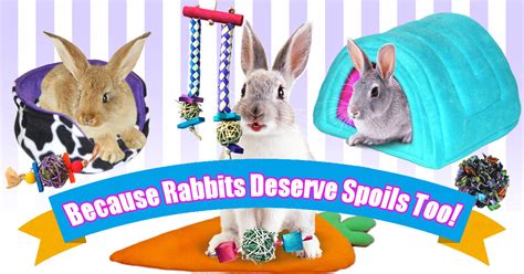 Rabbit and bunny cozies, snacking toys, fleece bedding and cage ...